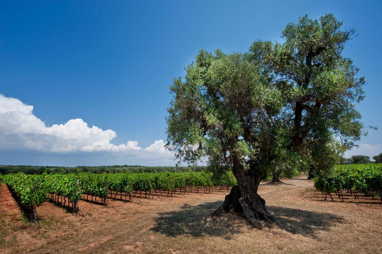 Masseria Le Fabriche Guest House Maruggio Bagian luar foto