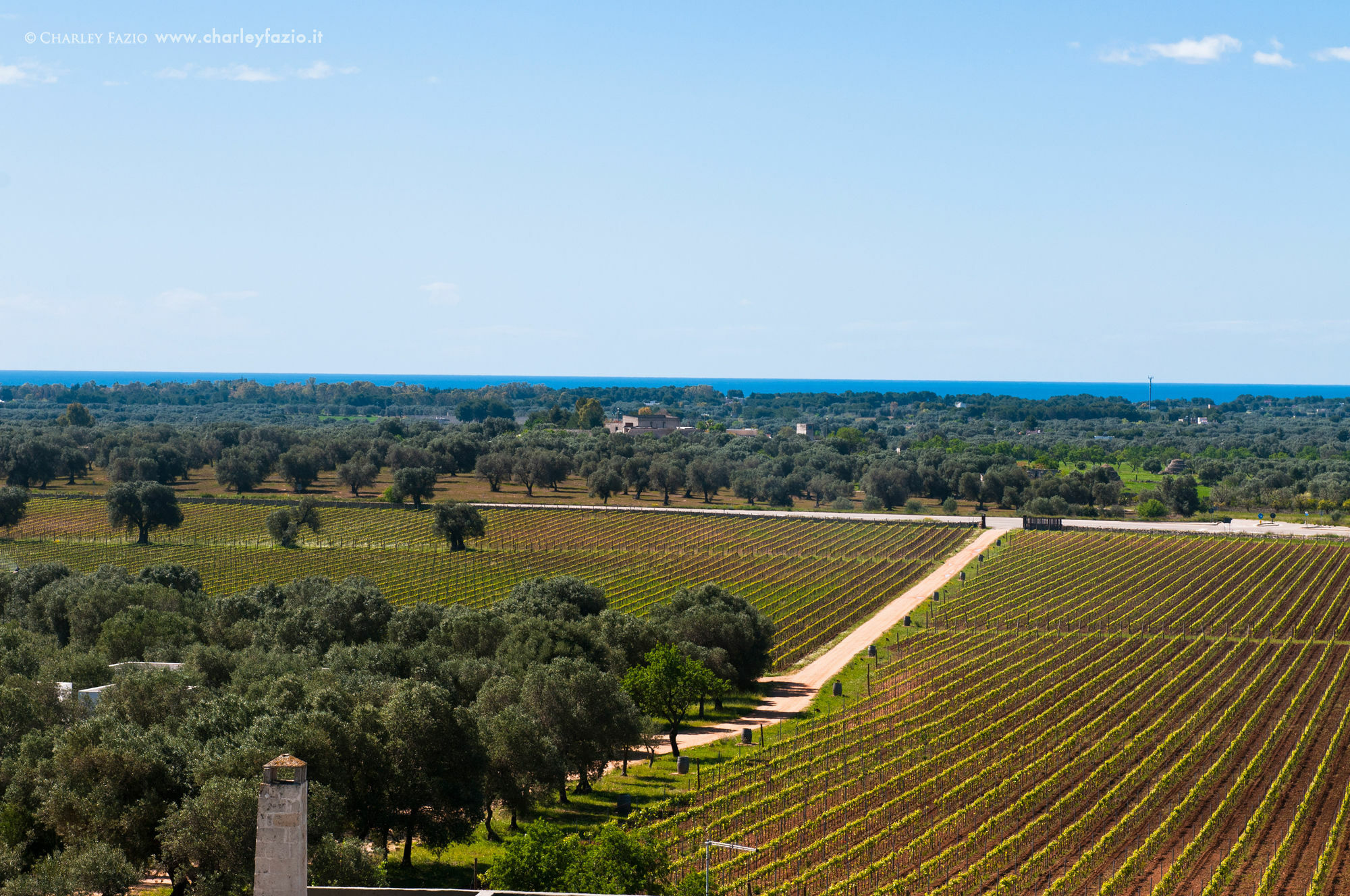 Masseria Le Fabriche Guest House Maruggio Bagian luar foto