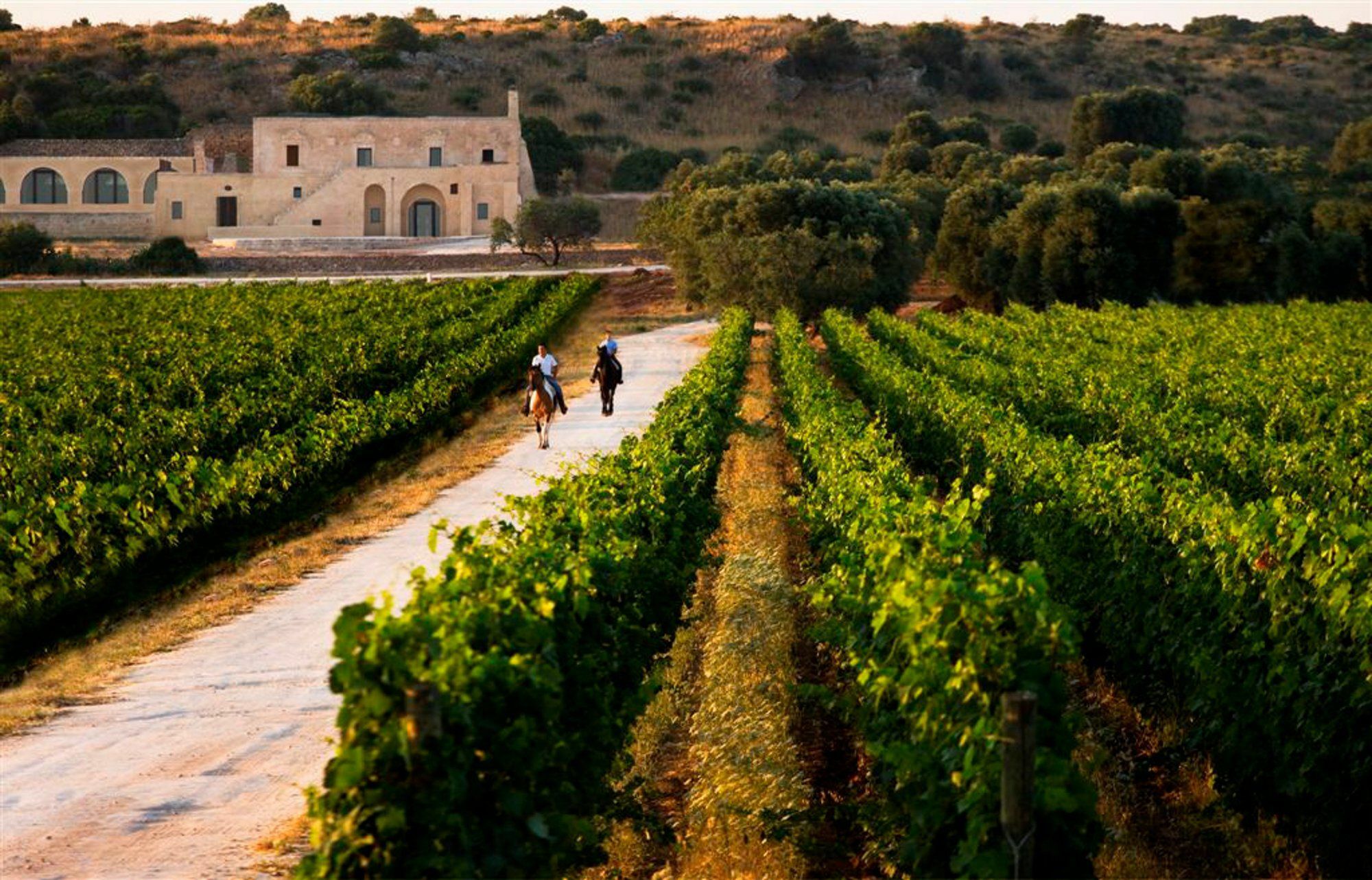 Masseria Le Fabriche Guest House Maruggio Bagian luar foto