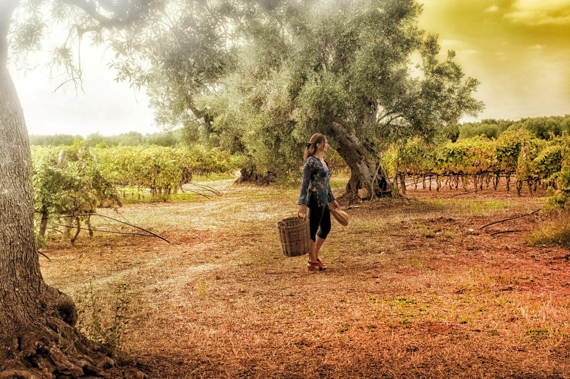 Masseria Le Fabriche Guest House Maruggio Bagian luar foto